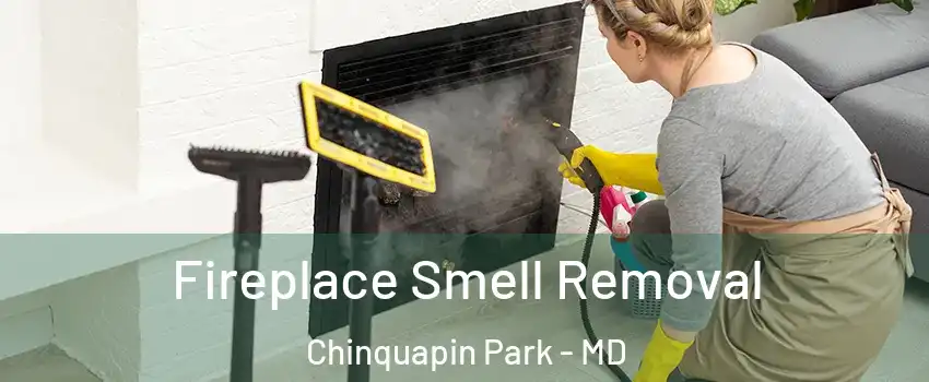 Fireplace Smell Removal Chinquapin Park - MD