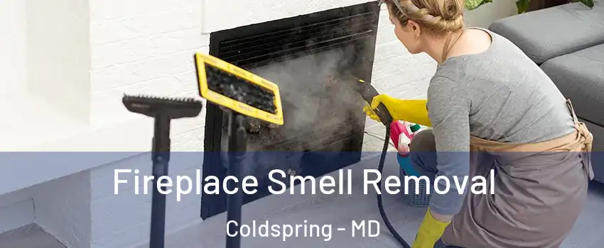 Fireplace Smell Removal Coldspring - MD