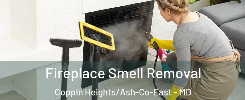 Fireplace Smell Removal Coppin Heights/Ash-Co-East - MD