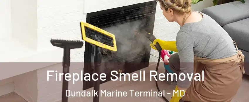 Fireplace Smell Removal Dundalk Marine Terminal - MD