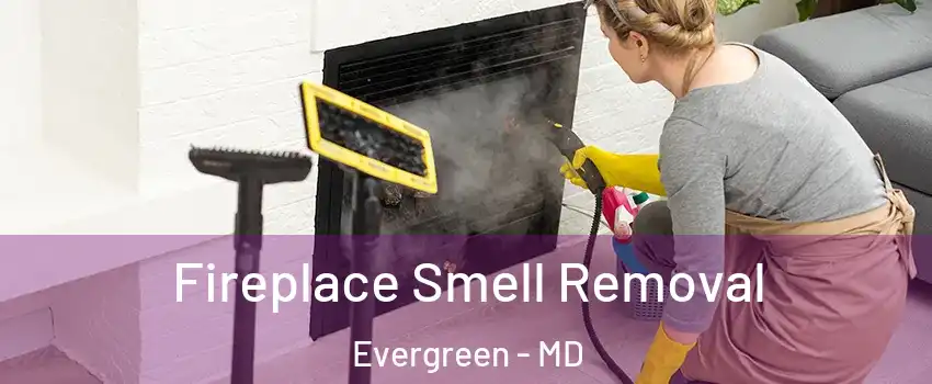 Fireplace Smell Removal Evergreen - MD