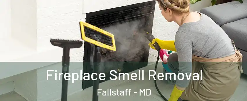 Fireplace Smell Removal Fallstaff - MD