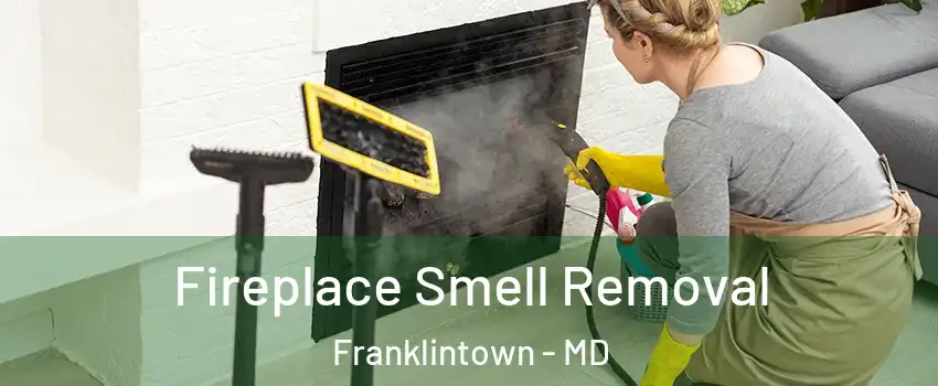 Fireplace Smell Removal Franklintown - MD