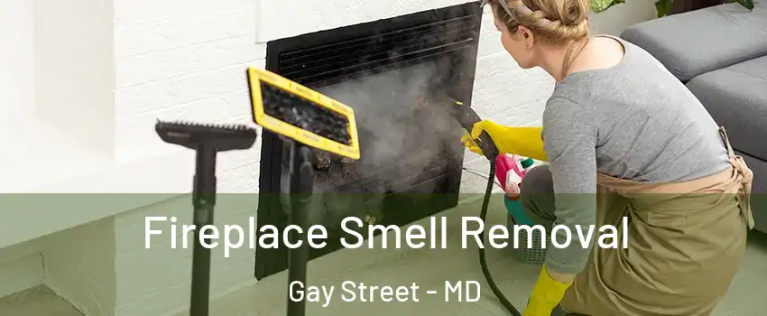 Fireplace Smell Removal Gay Street - MD