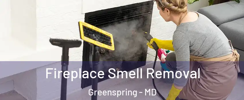 Fireplace Smell Removal Greenspring - MD