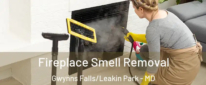Fireplace Smell Removal Gwynns Falls/Leakin Park - MD