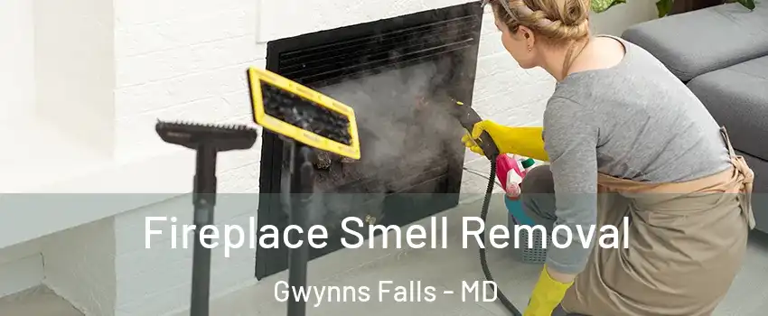 Fireplace Smell Removal Gwynns Falls - MD