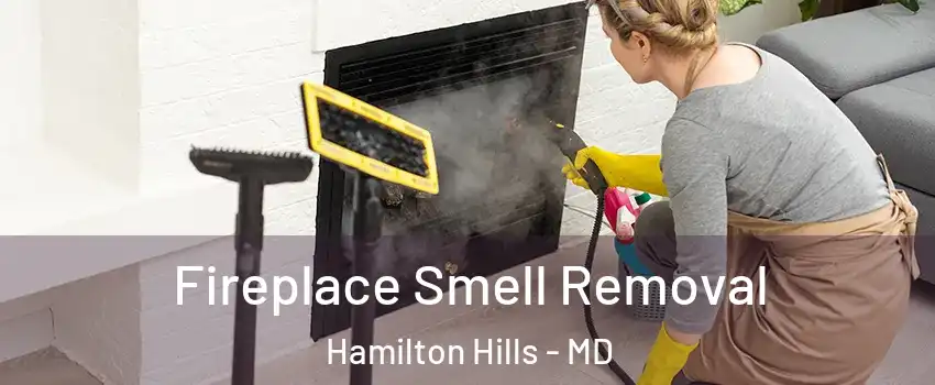 Fireplace Smell Removal Hamilton Hills - MD