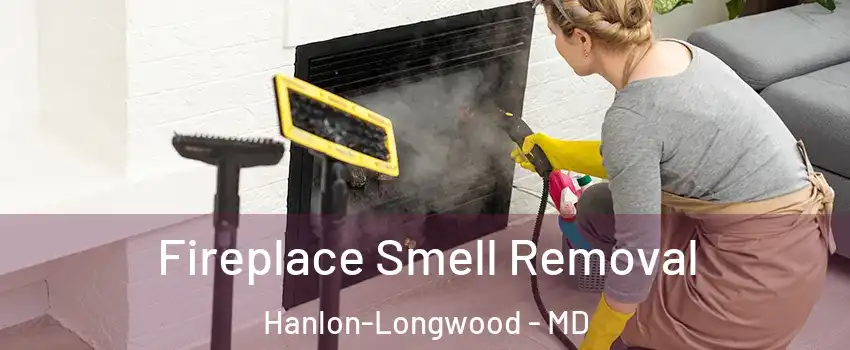 Fireplace Smell Removal Hanlon-Longwood - MD
