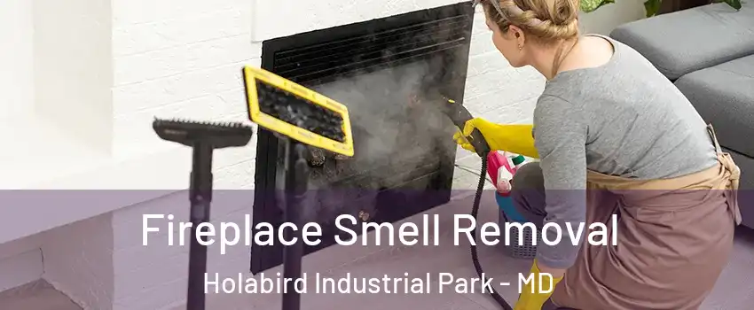 Fireplace Smell Removal Holabird Industrial Park - MD