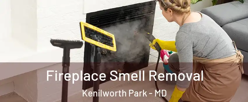 Fireplace Smell Removal Kenilworth Park - MD