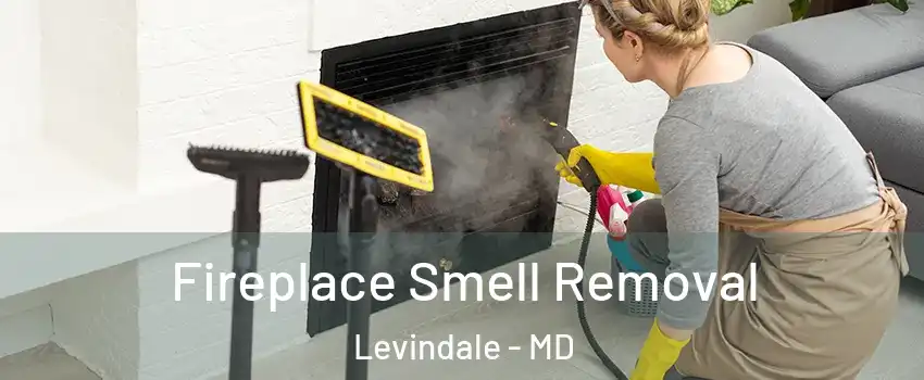 Fireplace Smell Removal Levindale - MD