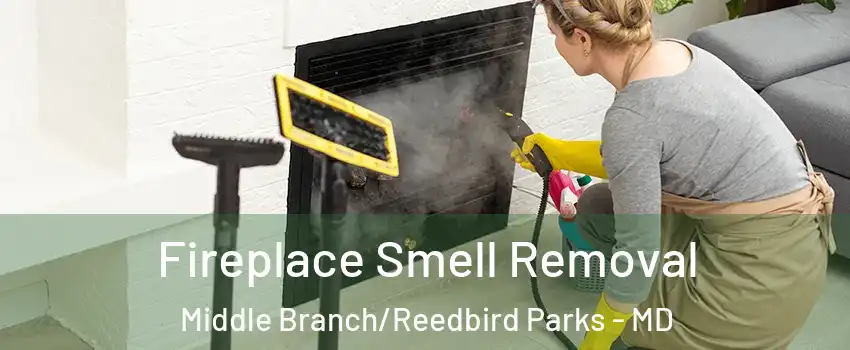 Fireplace Smell Removal Middle Branch/Reedbird Parks - MD