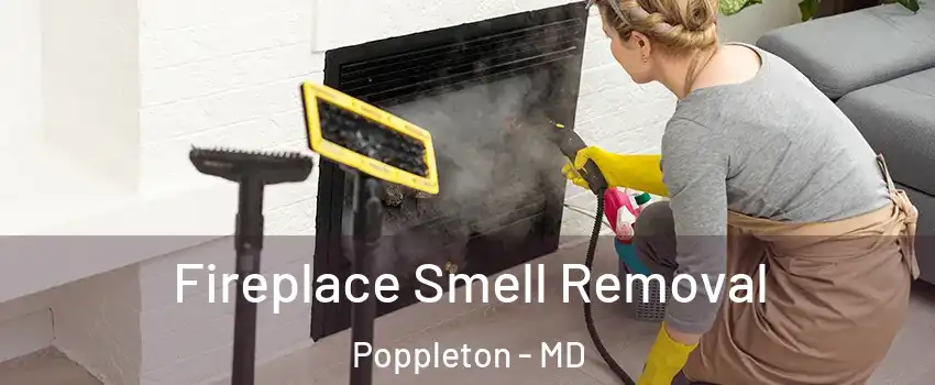 Fireplace Smell Removal Poppleton - MD