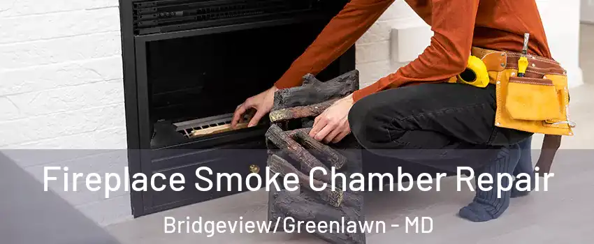 Fireplace Smoke Chamber Repair Bridgeview/Greenlawn - MD