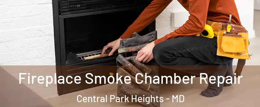 Fireplace Smoke Chamber Repair Central Park Heights - MD
