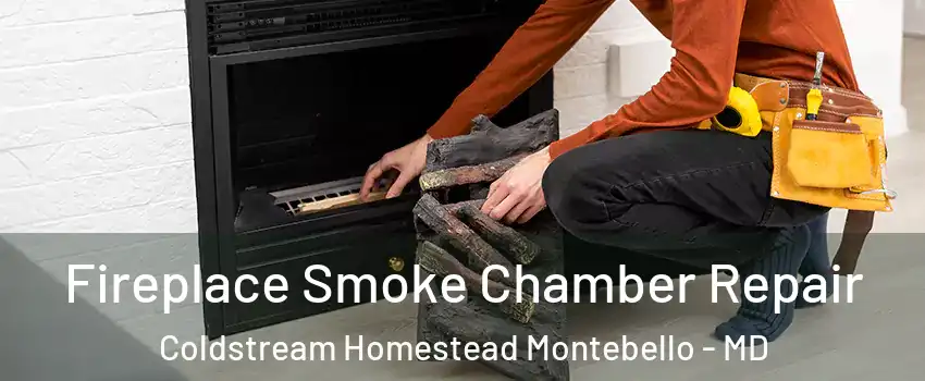 Fireplace Smoke Chamber Repair Coldstream Homestead Montebello - MD