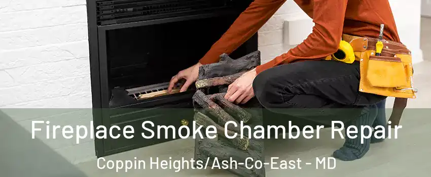 Fireplace Smoke Chamber Repair Coppin Heights/Ash-Co-East - MD