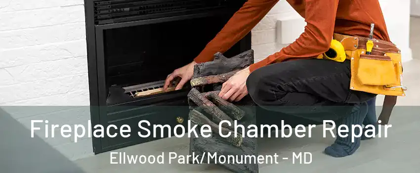 Fireplace Smoke Chamber Repair Ellwood Park/Monument - MD