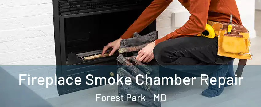 Fireplace Smoke Chamber Repair Forest Park - MD