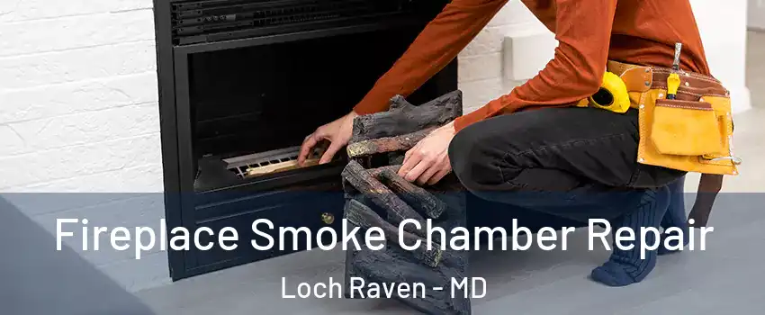 Fireplace Smoke Chamber Repair Loch Raven - MD