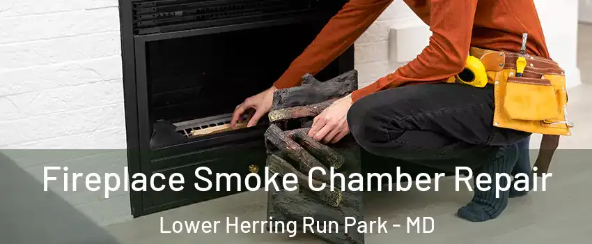 Fireplace Smoke Chamber Repair Lower Herring Run Park - MD