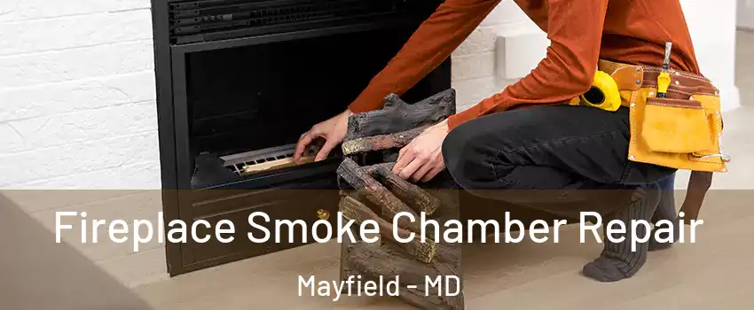 Fireplace Smoke Chamber Repair Mayfield - MD