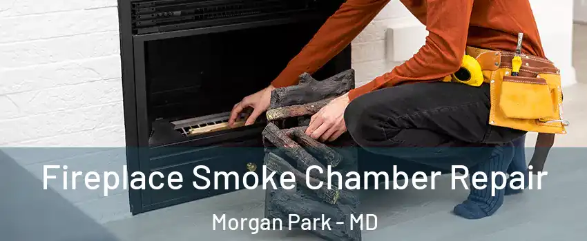 Fireplace Smoke Chamber Repair Morgan Park - MD
