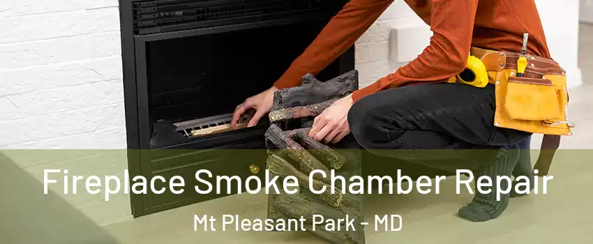Fireplace Smoke Chamber Repair Mt Pleasant Park - MD