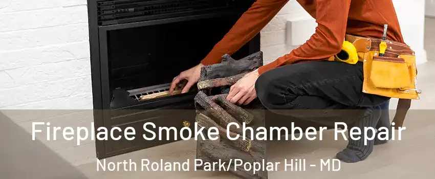 Fireplace Smoke Chamber Repair North Roland Park/Poplar Hill - MD