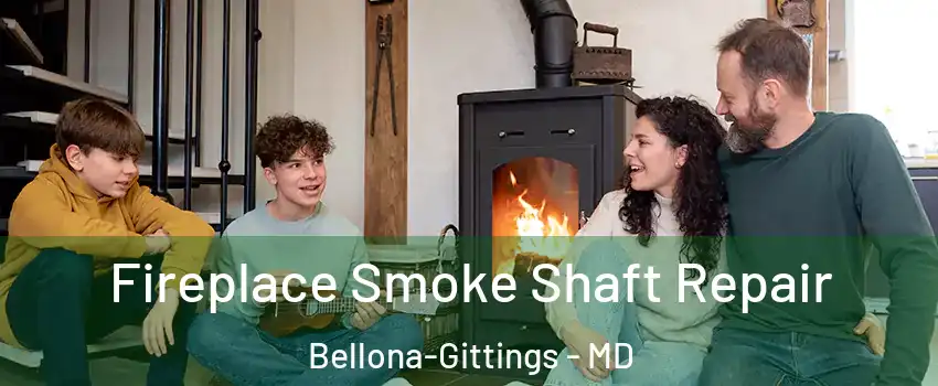 Fireplace Smoke Shaft Repair Bellona-Gittings - MD