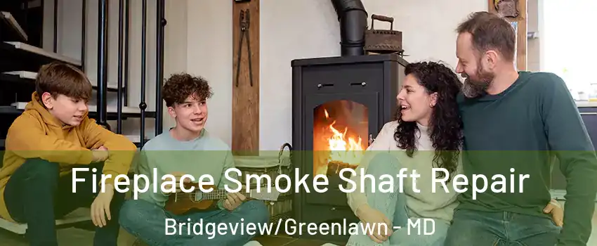 Fireplace Smoke Shaft Repair Bridgeview/Greenlawn - MD