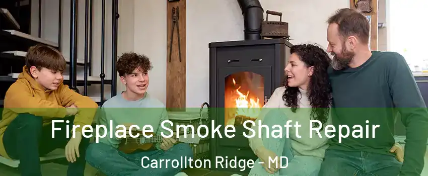 Fireplace Smoke Shaft Repair Carrollton Ridge - MD