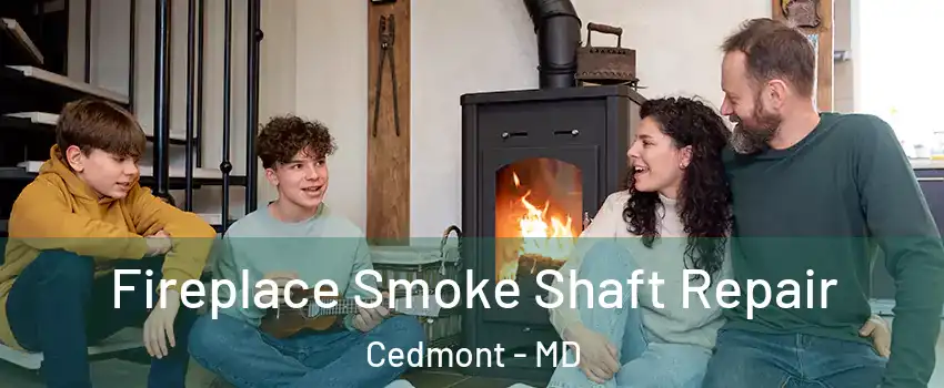 Fireplace Smoke Shaft Repair Cedmont - MD