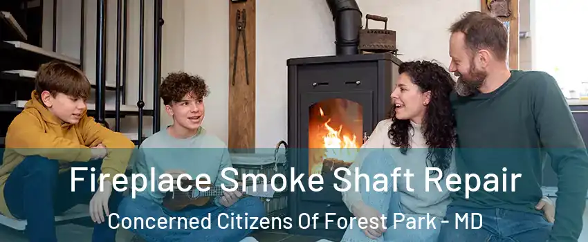 Fireplace Smoke Shaft Repair Concerned Citizens Of Forest Park - MD