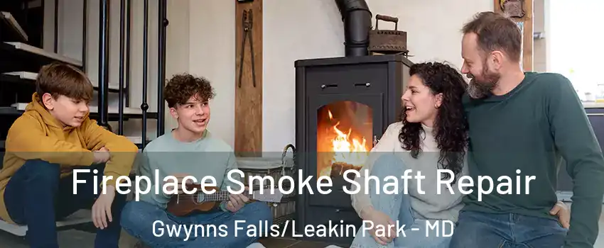Fireplace Smoke Shaft Repair Gwynns Falls/Leakin Park - MD
