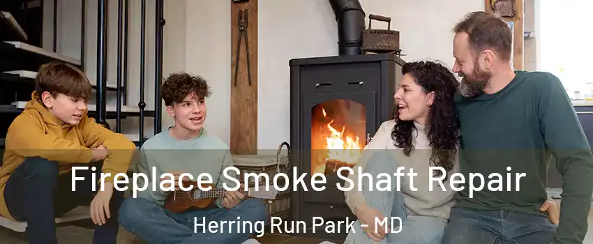 Fireplace Smoke Shaft Repair Herring Run Park - MD