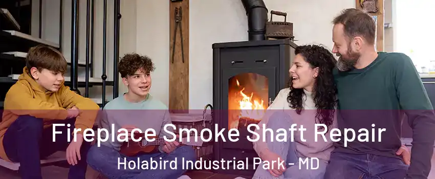 Fireplace Smoke Shaft Repair Holabird Industrial Park - MD