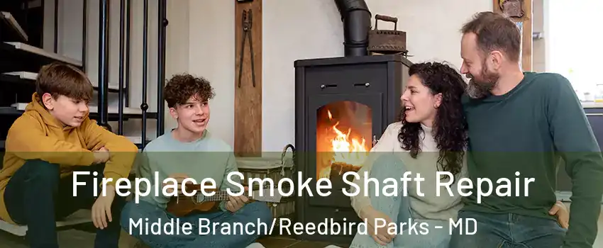 Fireplace Smoke Shaft Repair Middle Branch/Reedbird Parks - MD