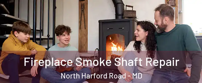 Fireplace Smoke Shaft Repair North Harford Road - MD