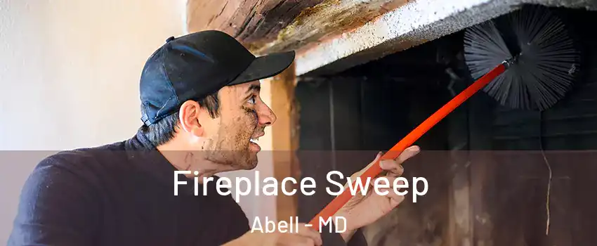 Fireplace Sweep Abell - MD