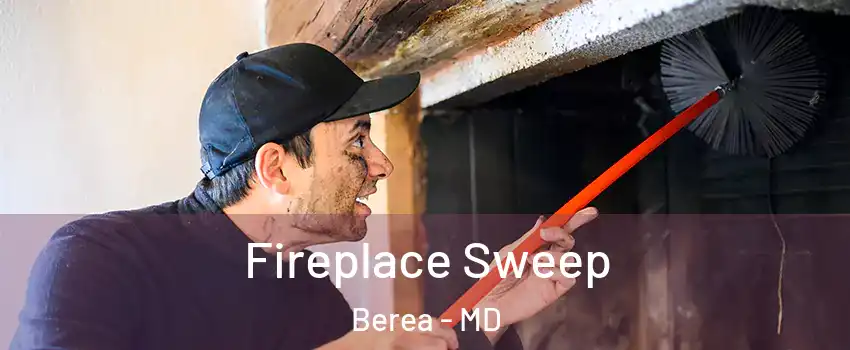 Fireplace Sweep Berea - MD