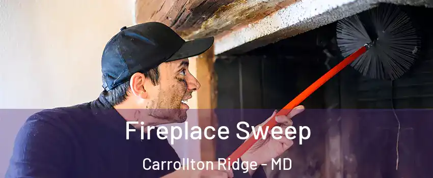 Fireplace Sweep Carrollton Ridge - MD