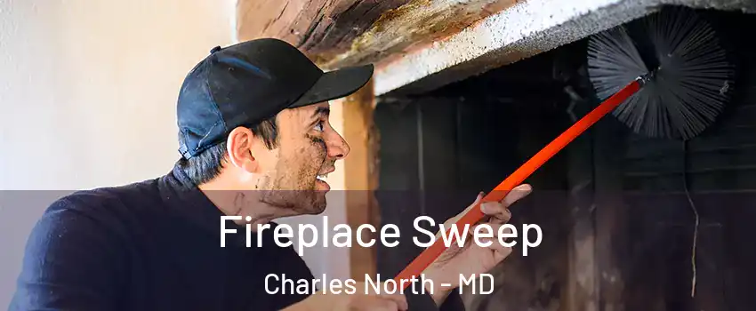 Fireplace Sweep Charles North - MD