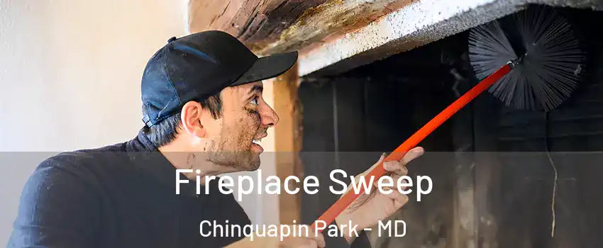 Fireplace Sweep Chinquapin Park - MD