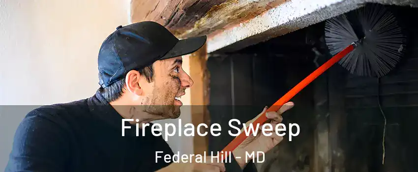 Fireplace Sweep Federal Hill - MD