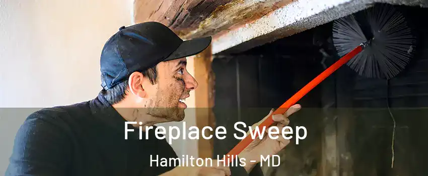 Fireplace Sweep Hamilton Hills - MD