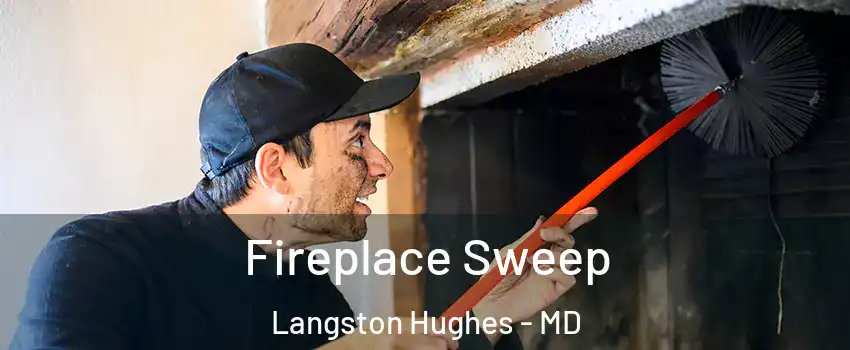 Fireplace Sweep Langston Hughes - MD