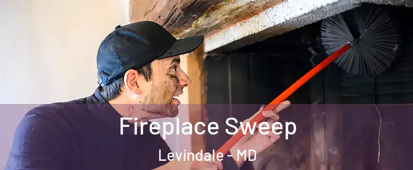 Fireplace Sweep Levindale - MD