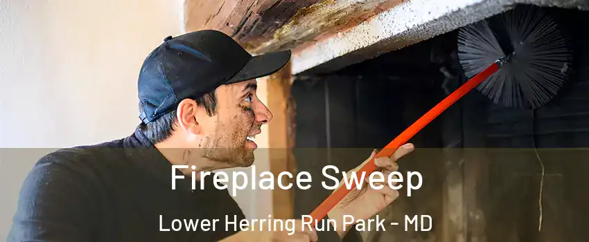 Fireplace Sweep Lower Herring Run Park - MD